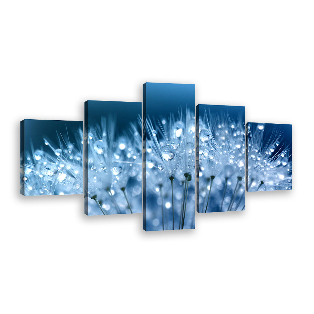 Waterdrops on Dandelion Canvas Wall Art
