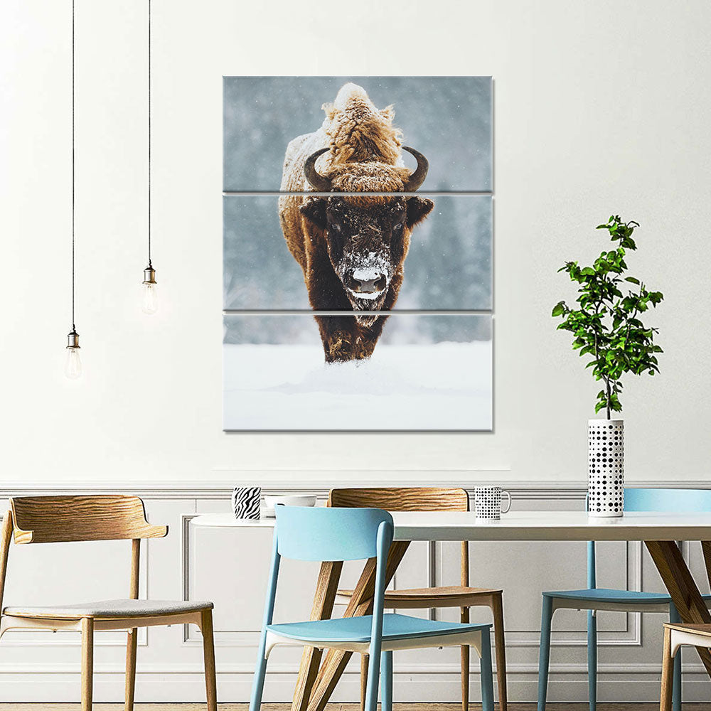 Wild Bison In Snow Canvas Wall Art