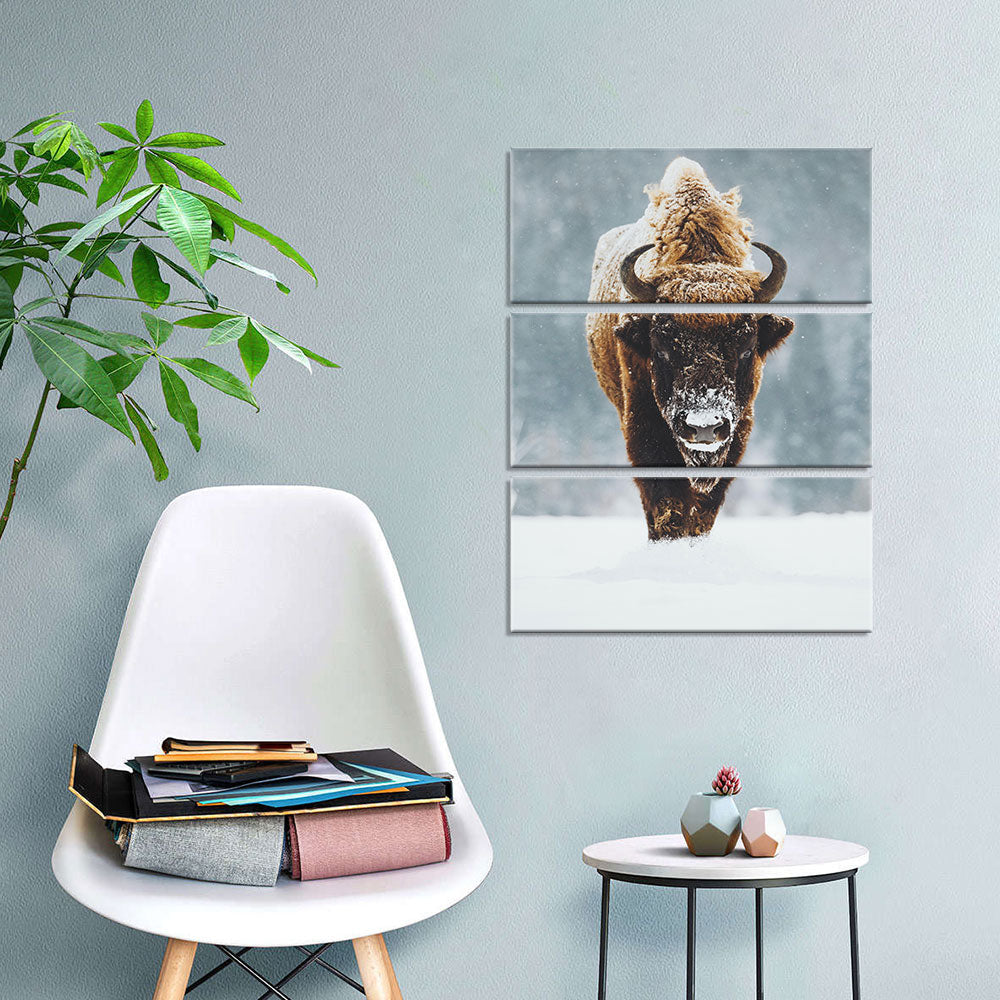 Wild Bison In Snow Canvas Wall Art