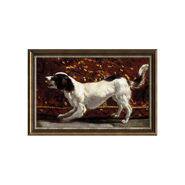 Portrait Of A Dog By Diego Velázquez