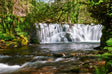 Tranquil Forest Cascade Canvas Wall Art