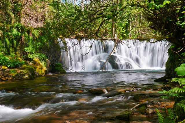 Tranquil Forest Cascade Canvas Wall Art