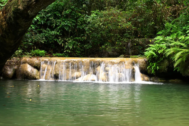 Hidden Jungle Falls Canvas Wall Art