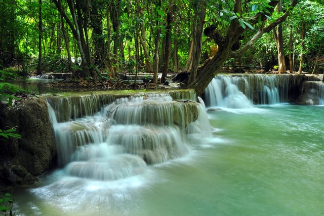 Mystic Woodland Falls Canvas Wall Art