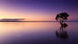Serene Twilight - Tranquil Sunset Over Water Canvas Wall Art