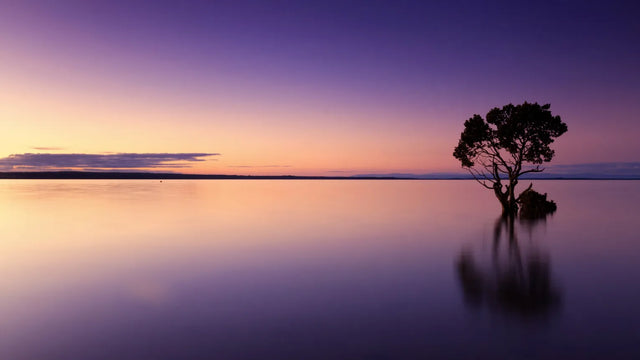Serene Twilight - Tranquil Sunset Over Water Canvas Wall Art