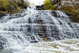 Autumn Veil Cascade Canvas Wall Art