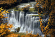Golden Autumn Cascade Waterfall Canvas Wall Art