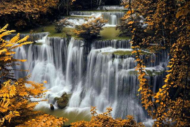 Golden Autumn Cascade Waterfall Canvas Wall Art