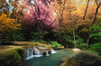Mystic Fall Forest Waterfall Canvas Wall Art