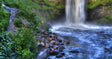 Verdant Falls Tranquility Canvas Wall Art