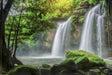 Whispers of the Jungle Falls Canvas Wall Art