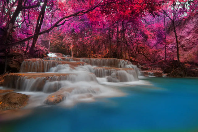 Mystic Blossom Falls Canvas Wall Art