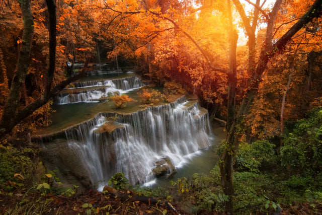 Golden Cascade Glow Waterfall Canvas Wall Art