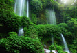 Verdant Veil Waterfall Canvas Wall Art