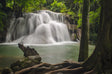Sacred Grove Falls Canvas Wall Art