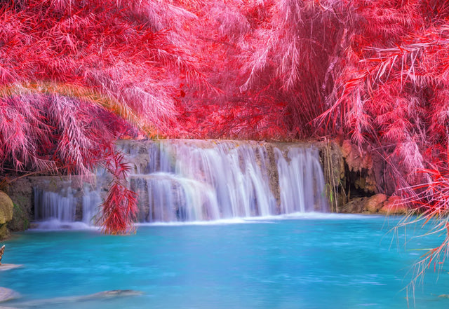 Enchanted Blush Falls Waterfall Canvas Wall Art