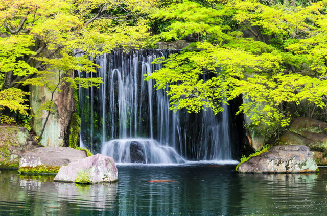 Tranquil Grove Waterfall Canvas Wall Art