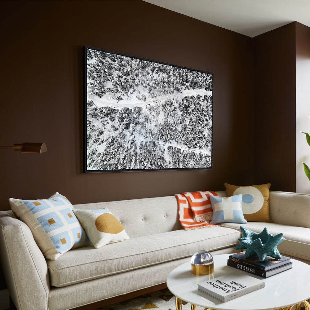 Aerial Winter Forest Canvas Wall Art