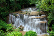 Jungle Harmony Waterfall Canvas Wall Art