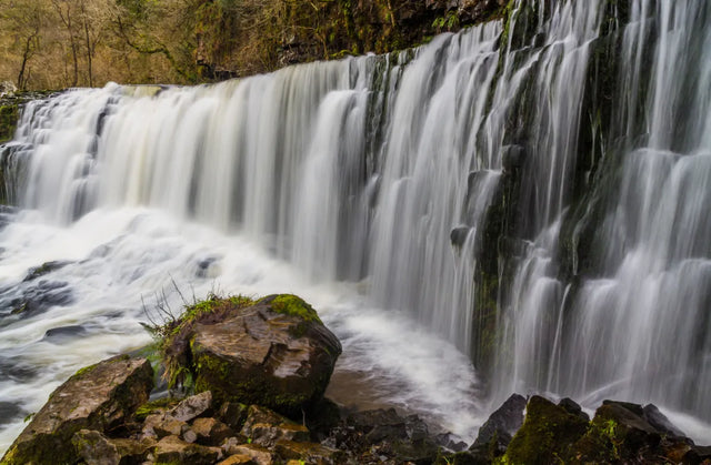 Echoes of the Wildfall Canvas Wall Art