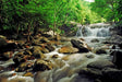 Mystic River Rush Canvas Wall Art