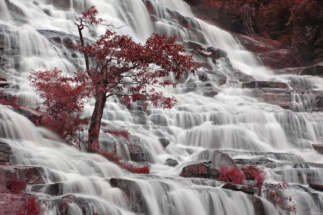 Crimson Cascade Dream Canvas Wall Art