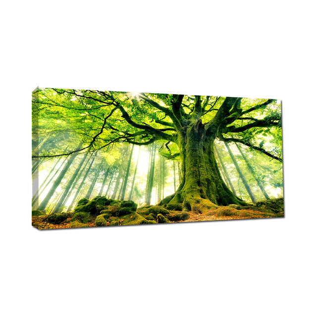 Majestic Forest Tree Canvas Wall Art