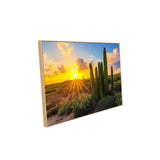 Desert Sunset with Cactus Landscape-Canvas Wall Art