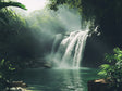 Tranquil Jungle Waterfall The Nature’s Serenity - Canvas Wall Art