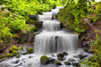 Whispering Cascade Pathway Canvas Wall Art