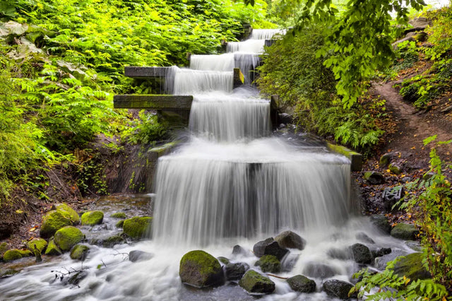 Whispering Cascade Pathway Canvas Wall Art