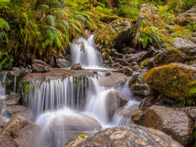 Whispering Fern Falls Canvas Wall Art