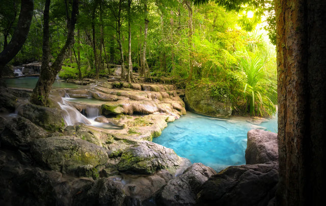 Enchanted Emerald Springs Canvas Wall Art