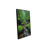 Tranquil Forest Stream Canvas Wall Art