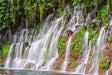 Verdant Cascade Serenity Canvas Wall Art