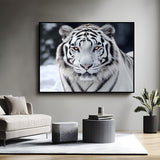 Canvas Wall Art - Majestic White Tiger