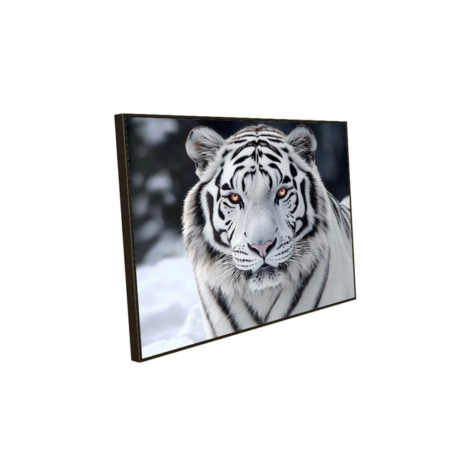 Canvas Wall Art - Majestic White Tiger