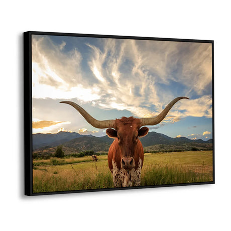 Texas Longhorn Cattle Canvas Wall Art