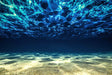 Underwater Serenity – Ocean Canvas Wall Art