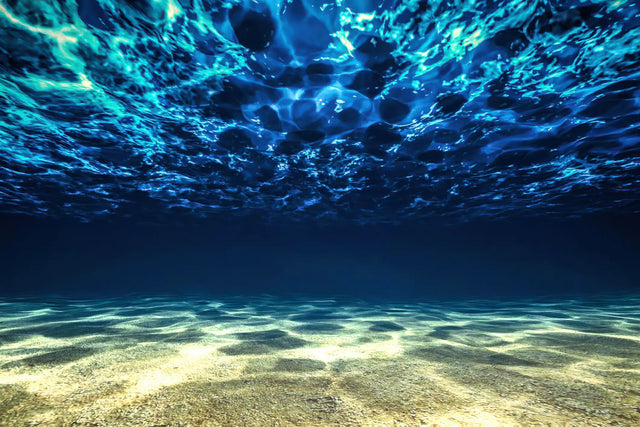 Underwater Serenity – Ocean Canvas Wall Art