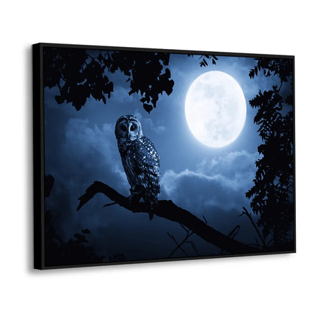 Night Owl With Moon Canvas Wall Art