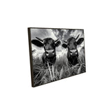 Quirky Black And White Cow Canvas Wall Art