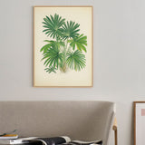 Botanical Palm – Lush Greenery Décor Canvas Wall Art