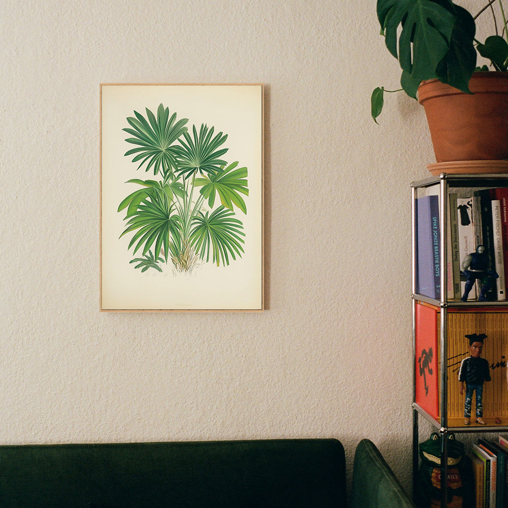 Botanical Palm – Lush Greenery Décor Canvas Wall Art