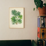 Botanical Palm – Lush Greenery Décor Canvas Wall Art