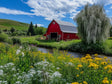 Red Barn With Wildflowers - Tranquil Farmhouse Landscape Canvas Wall Art