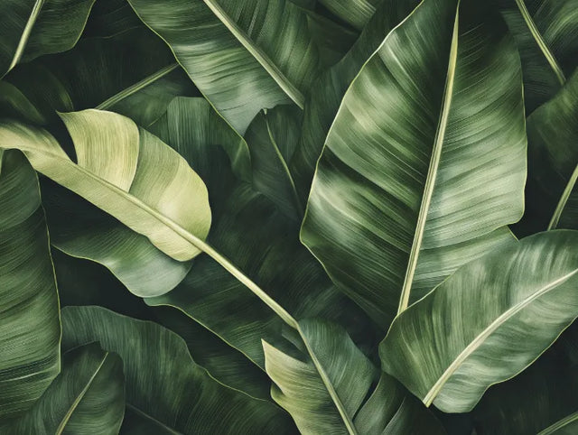 Lush Green Banana Leaf Canvas Wall Art - Modern Nature-Inspired Decor