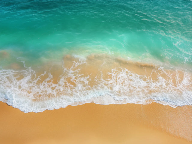 Tranquil Shoreline Bliss Canvas Wall Art