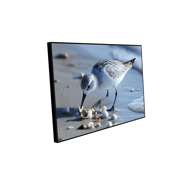 Shoreline Forager A Tranquil Bird - Canvas Wall Art